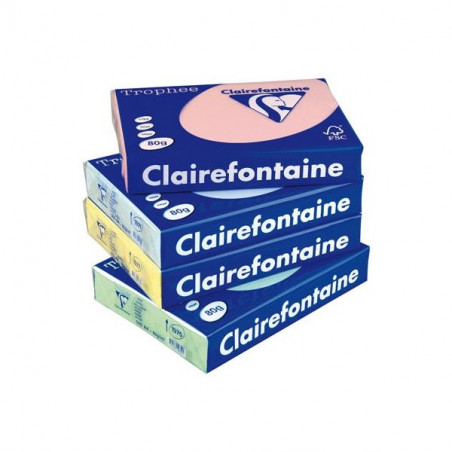 Lot de 5 Ramettes papier couleur TROPHEE A4 80g/m² 500 feuilles Coloris au choix