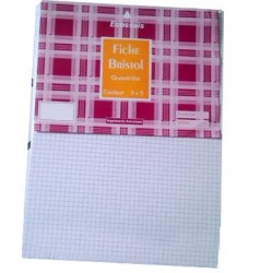  Paquet de 100 fiches...