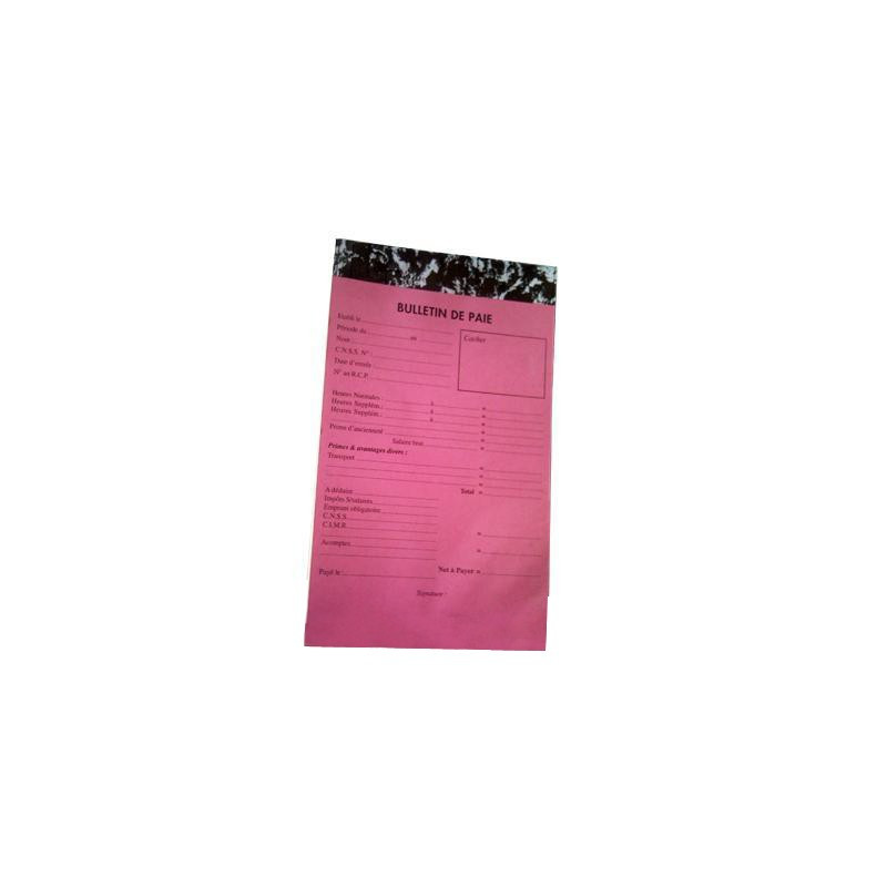  Lot de 5 manifolds "Bulletin de paie" 19x12,5 cm 100 feuilles 