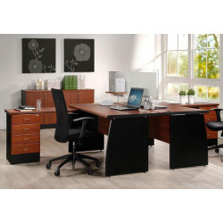Bureau DELTA 160 cm avec...