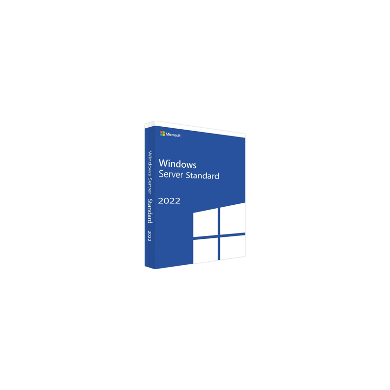 Microsoft Windows Svr Std 2022 64Bit French 1pk DS