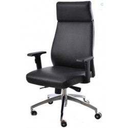 Fauteuil président RITZ en...