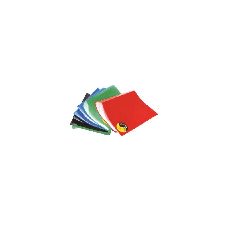 Lot de 12 Portes-vues BOSTON A4 60 pochettes 120 vues Coloris au choix